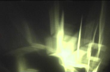 A picture of a Zebra Light (7976 bytes JPEG)