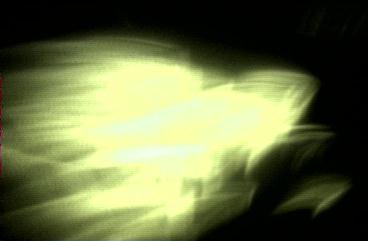 A picture of a Zebra Light (8632 bytes JPEG)